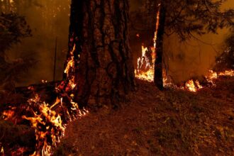 Φωτιά στην Καλιφόρνια: Συνελήφθη ύποπτος για την πρόκληση της