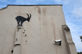 bansky-katsika4