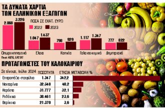 Σταφύλια, νεκταρίνα, κεράσια γοητεύουν στο εξωτερικό